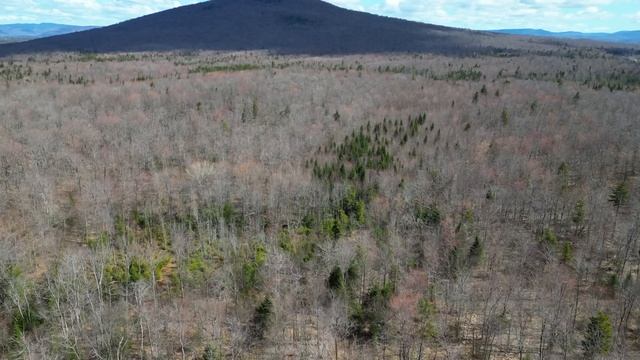 DJI Mini 3 Pro Range Test With DJI RC - Yikes!