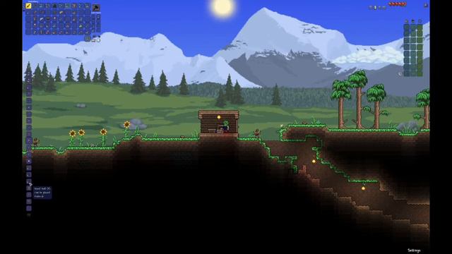 Terraria On The Mac