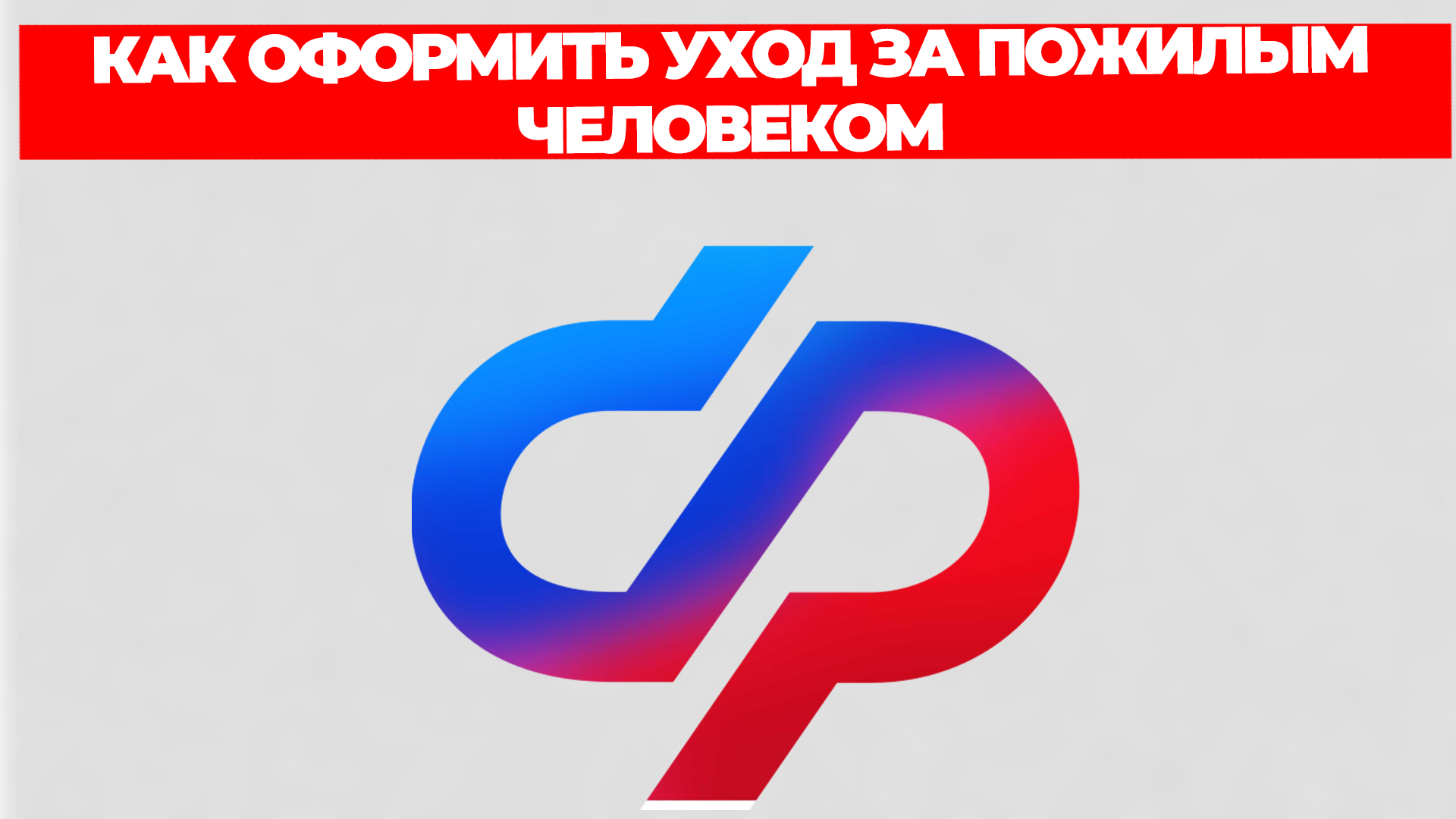 Всезнающий Енот