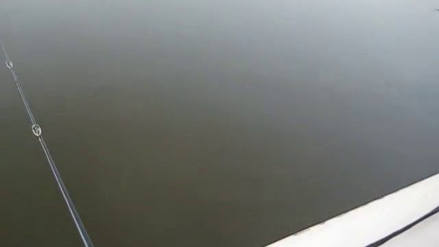 Ловля окуня мультипликаторной снастью на вертушку