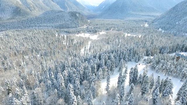 Гостевой дом 