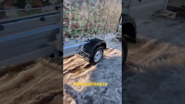 Renault Symbol и прицеп легковой МЗСА 817705. АРИВА Казань Чебоксары ? гарантия доставка рассрочка