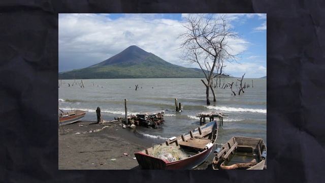 Кулинарная Симфония