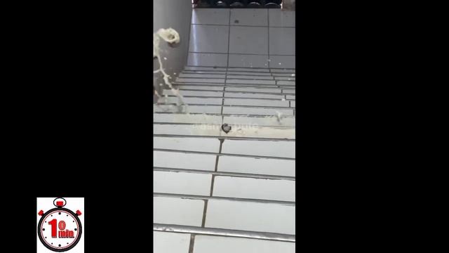 10 Minutes Of Bottle Rolling Down Stairs ASMR | Breaking Glass Bottles | ASMR Compilation