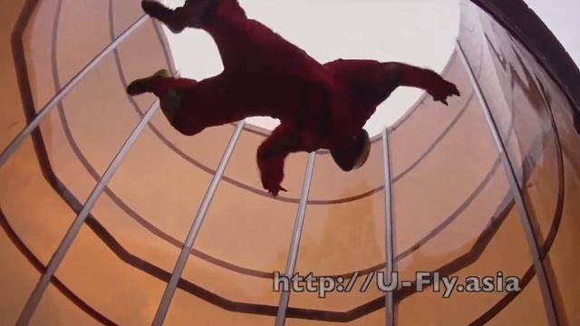 Аэродинамическая труба в Паттайе