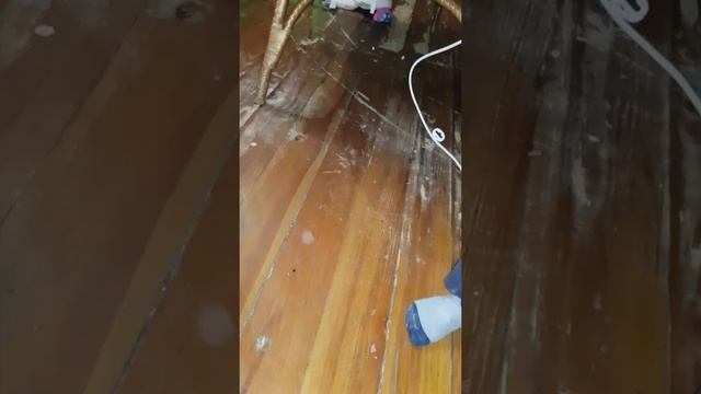 Dabde27a1bfc5d3689a2e8f0a78572ff