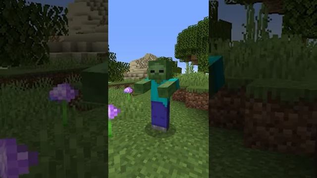Meme Mobs/Resource Pack In Bio #minecraft #memes #майнкрафт