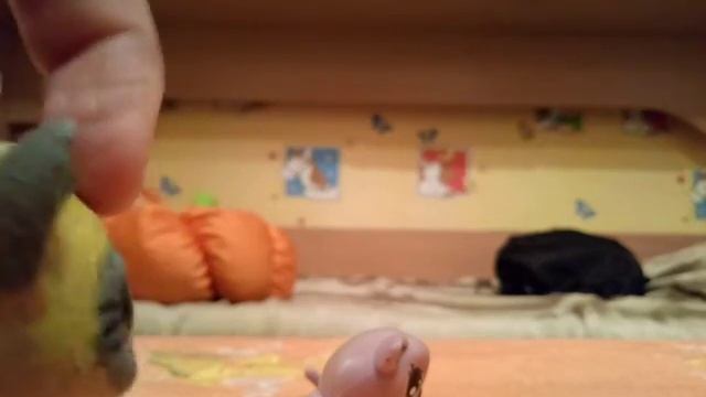 Выбираю имя пету