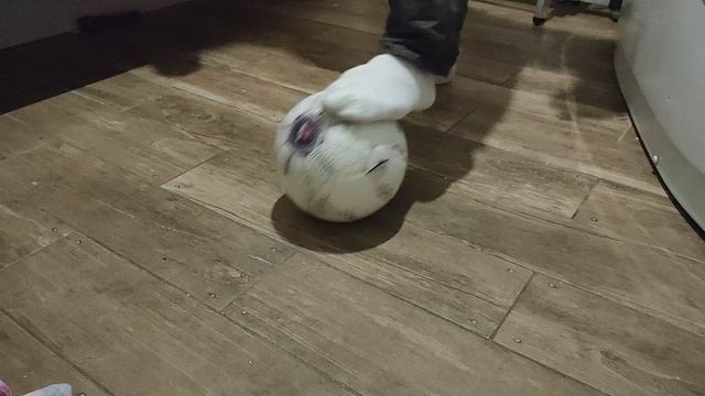 Филимон и футбол