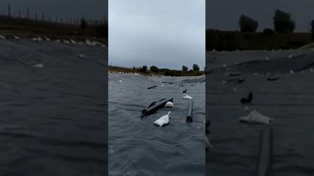 4f1dc2308857222327731e94138d52f4