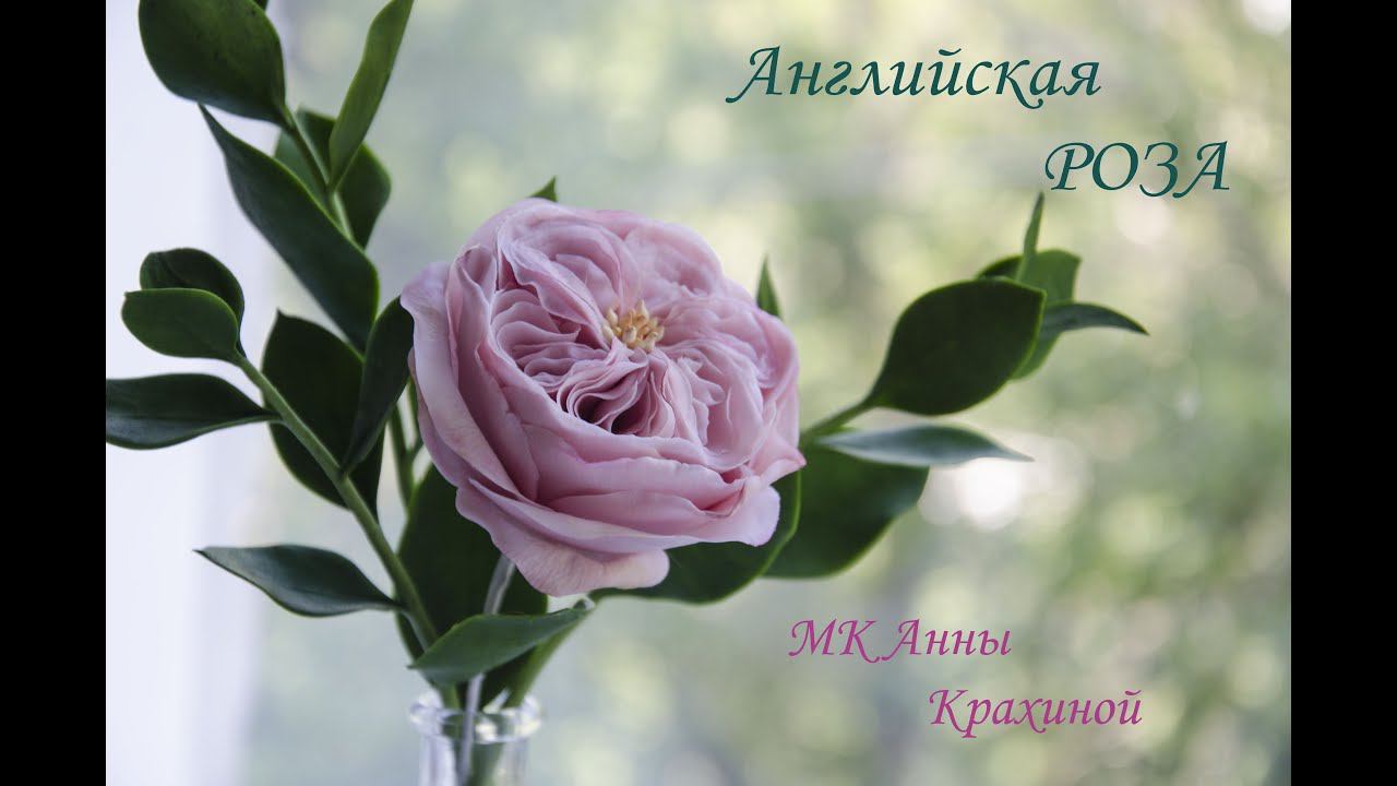 B8353b2a37b2b6a812f8eb94b053240a