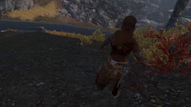 Skyrim VR - Vigor And Inpa Sekiro Combat