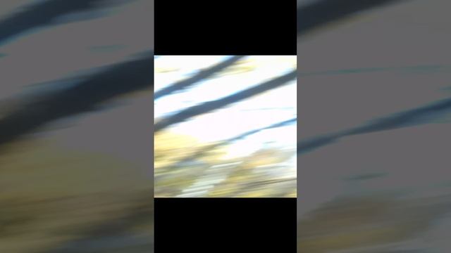 юя посое школы