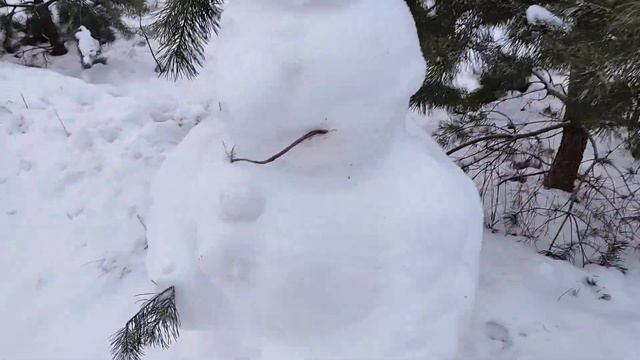 Лабрадор Бетти на прогулке в лесу зимой  -15 градусов