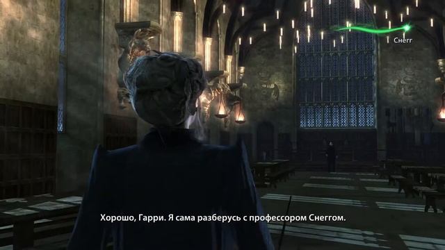 Harry Potter And The Deathly Hallows: Part II. #3. Проблема охраны