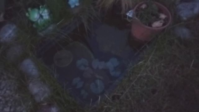 12e29f55ab63de2423c66542ba64c808