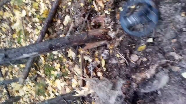 Что это???Клад!!!Ураааа