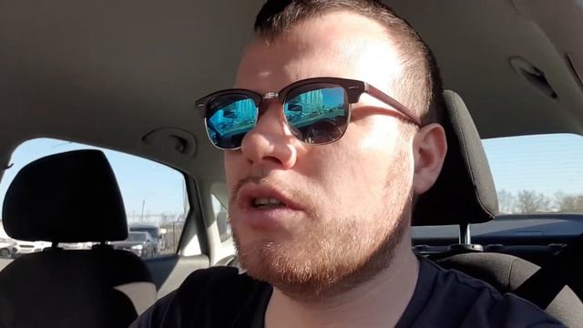 Почему муравей