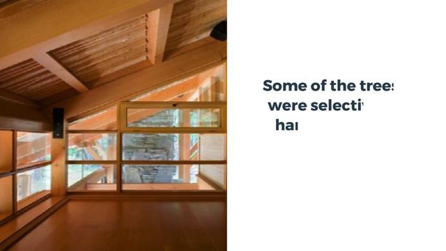 Molly's House is An Eco Friendly Island Getaway - The Views