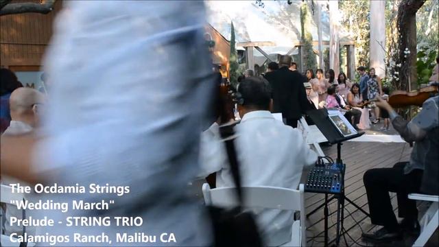 OMG: Wedding March (Wagner) String Trio | Classical Recessional Wedding Music