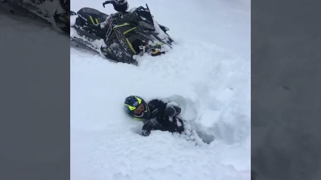 Бедярыш декабрь 2016г. СнегоЗавры Пермского периода  ?