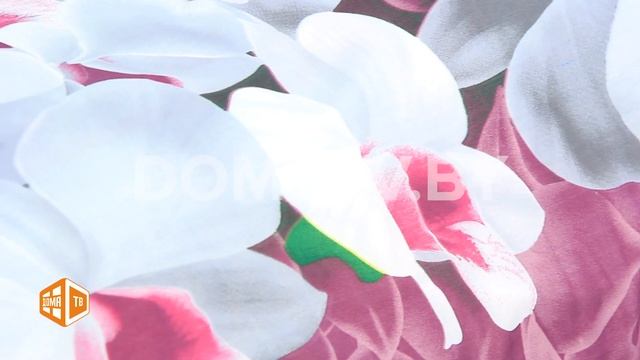 КПБ «Орхидея» Domatv By