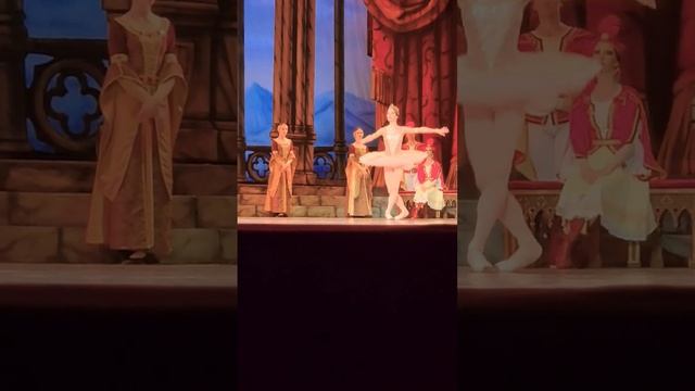 Балет Раймонда #ballet