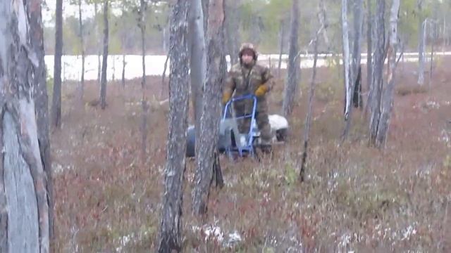 Мотобуксировщик егерь на склизах по кочкам...