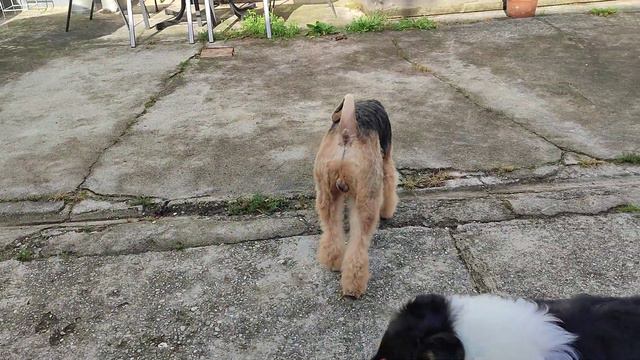 А у нас во дворе / In Our Yard.