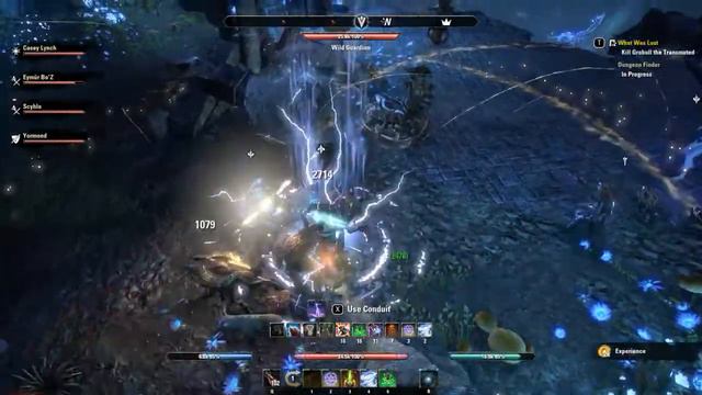 TESO твинководство 03.12.17