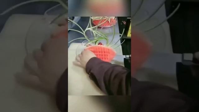 Крутая Подборка Нарезки Фруктов и овощей