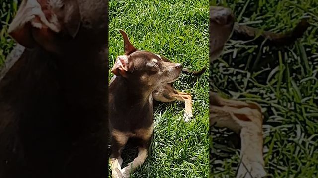 69e1ee21d09adca12aec5007f83b3563