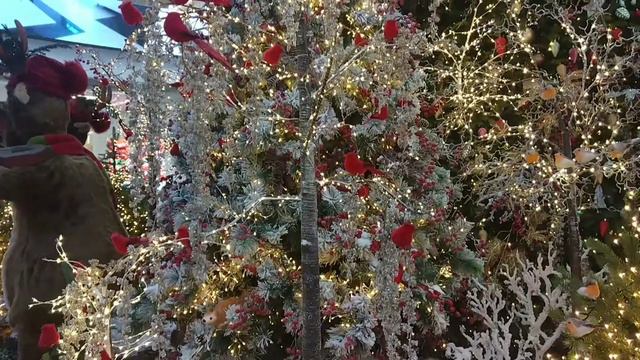 22d37e9302faaafb6a8731ccebf29856