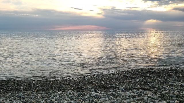 VID_20230426_184456.mp4