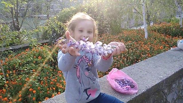 Прогулка в парке ТОК Судак