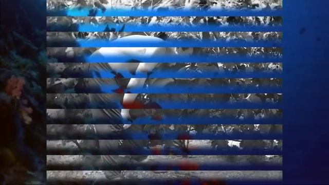 Секреты Профессионального Творца