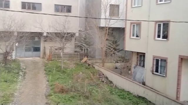 İstanbul'da Kar Eşliğinde DuDuk- Balaban Esintisi