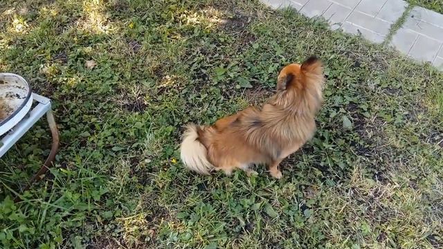 Шок!!! Юля Сломала ногу ? ВЛОГ..3-й день Дача,Купание в холод.