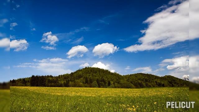 Relax Music,спокойная музыка,музыка для сна,релакс музыка,медленная музыка