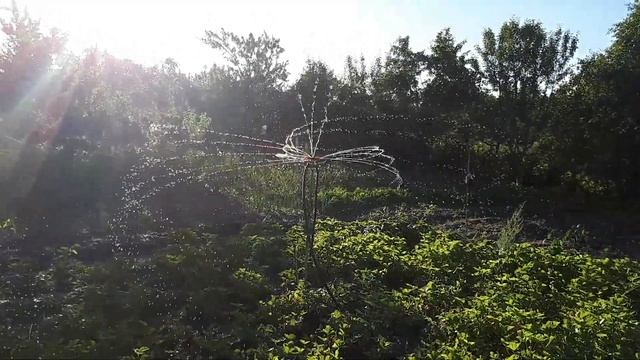 Полив клубники