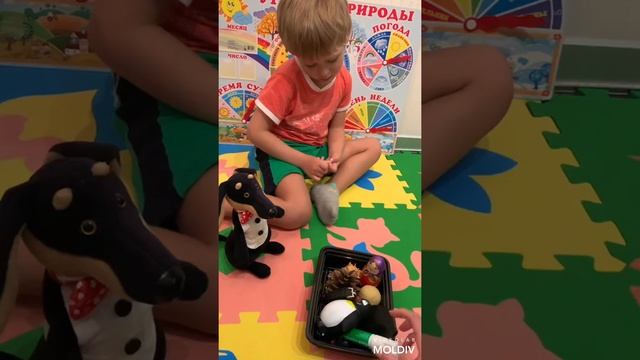 Игра Жадина