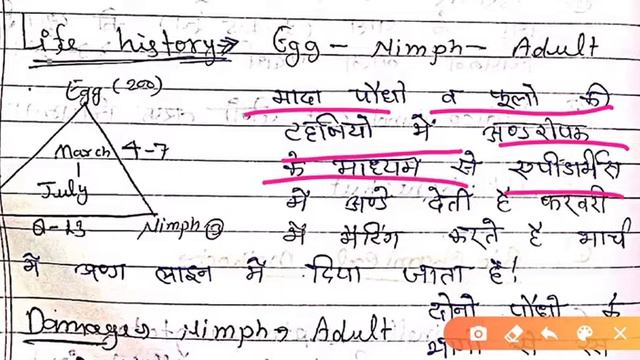 Mango Leaf Hopper Ki Life Cycle