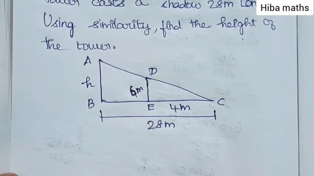 10th Maths Chapter 4 Exercise 4.1 Question 3 Tn Samacheer Hiba Maths