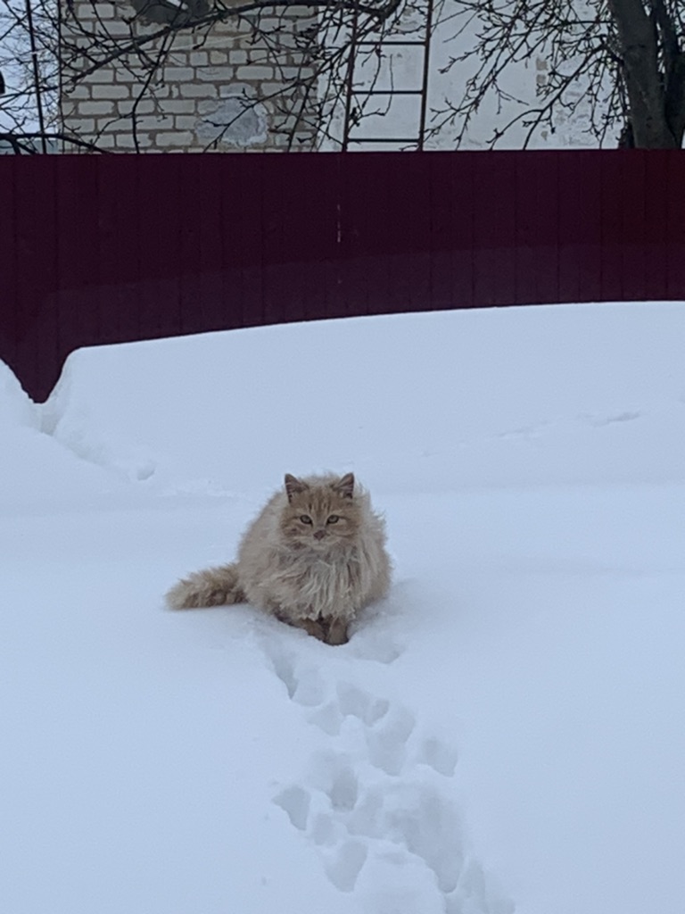 Тест горизонтального плеера