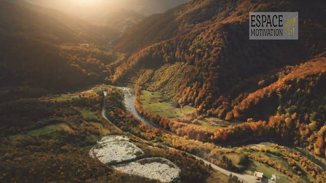 777 Attire De L'Argent Massivement - Manifestation D'abondance | Dr Joe Dispenza En Français