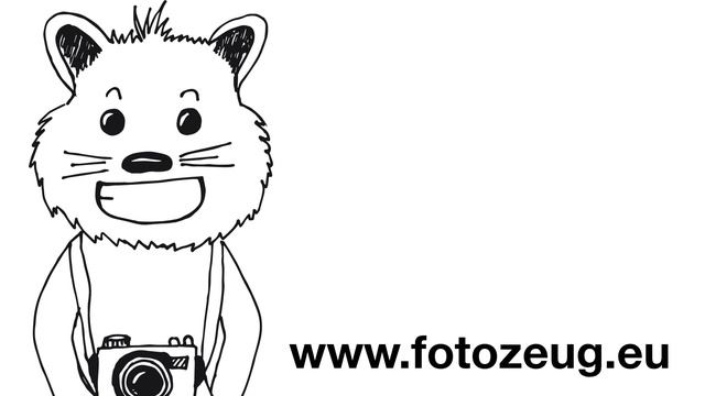 Handschlaufe An Der Fujifilm Instax Mini 70 Befestigen