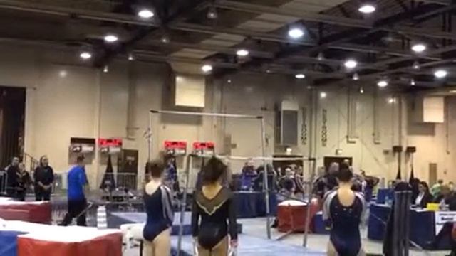 Galaxy 2015 (Bars)-Rose Hoffman