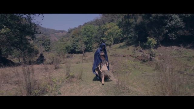 Wayfarer - Dark Statique / Maria Cherednikova - Violin