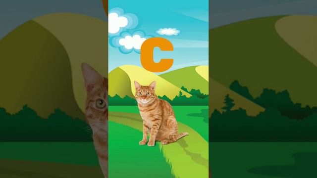 Abcd Video| #alphabet #hindialphabet #a_for_apple #counting #anaram #abcd_song #abcdef #abcdlearnin