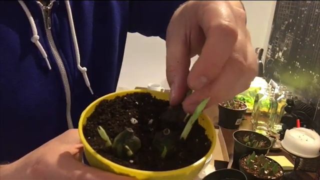 Cd9584342f0f8e1b383a069443941f2d